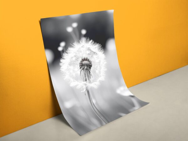 Pusteblume XXL Poster