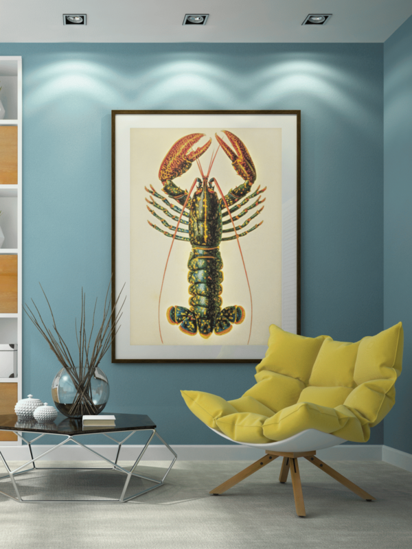 XXL Lehrtafel Naturposter Hummer