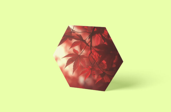 Ahornblätter Wandbild Hexagon - Rote Ahornblätter Herbstfoto