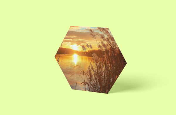 Sommer See Bild Hexagon auf Aluminium